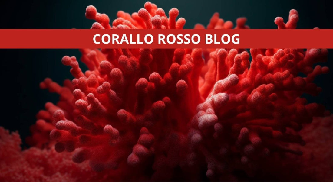 Proprietà e Significato Del Corallo - Zen Home