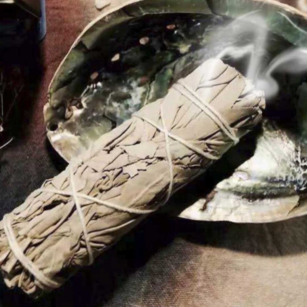 Salvia Bianca smudge 10 cm - Zen Home