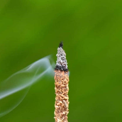 Sagrada Madre - Bastoncini di incenso Palo Santo, 8 pz - Zen Home