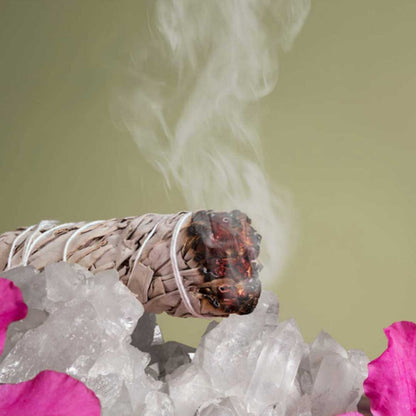 Salvia Bianca smudge 10 cm - Zen Home